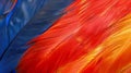 Vibrant Red and Blue Macaw Parrot Feathers Texture, Colorful Soft Plumage Background for Exotic Bird Royalty Free Stock Photo