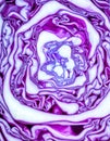 Vibrant Red Cabbage Abstract Texture Royalty Free Stock Photo