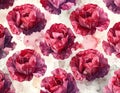 Vibrant Red Cabbage Leaves Watercolor Pattern on White Background Royalty Free Stock Photo