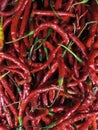 Vibrant Red Chili Peppers Pile Royalty Free Stock Photo