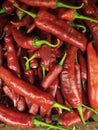 Vibrant Red Chili Peppers Pile Royalty Free Stock Photo