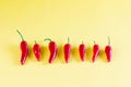 Vibrant red chili on yellow background, lay flat. Red spicy chili peppers wallpaper pattern