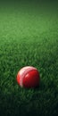 Vibrant Red Cricket Ball On Green Grass Field Royalty Free Stock Photo