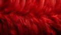 Vibrant red feathers texture background with detailed digital art of large bird feathers