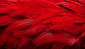 Vibrant red feathers texture background detailed digital art with large bird feathers