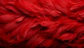 Vibrant red feathers texture background with detailed digital art of majestic bird feathers