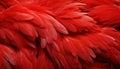 Vibrant red feathers texture background detailed digital art of majestic bird feathers