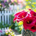 Vibrant red flower in bloom against a garden backdrop with a decorative pot Royalty Free Stock Photo