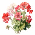 Vibrant Red Geranium Bouquet: Nostalgic Illustration With A Naturalistic Twist