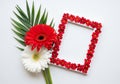 A vibrant red gerbera daisy and a white daisy with a red beaded picture frame Royalty Free Stock Photo
