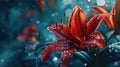 Vibrant Red Lily with Dew Drops Royalty Free Stock Photo