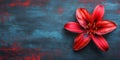Vibrant Red Lily Flower on a Textured Blue and Red Background with Ample Copy Space for Text Royalty Free Stock Photo