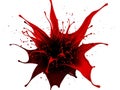 Vibrant red liquid splash Royalty Free Stock Photo