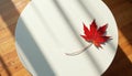 Vibrant red maple leaf rests on clean white table surface. Dramatic shadows from sunlit blinds create striking contrast. Leaf Royalty Free Stock Photo
