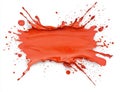 Vibrant red paint splash on white background Royalty Free Stock Photo
