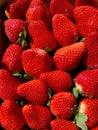 a large pile of strawberries in red, for sale