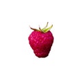 A vibrant red raspberry isolated on a white background, showcasing its intricate texture and natural shape ideal for food