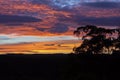 Vibrant red sunset caused by bushfire smoke in The Blue Mountains in Australia