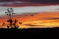 Vibrant red sunset caused by bushfire smoke in The Blue Mountains in Australia