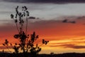 Vibrant red sunset caused by bushfire smoke in The Blue Mountains in regional Australia