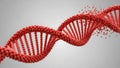 Red DNA Double Helix Structure Fragmenting Royalty Free Stock Photo