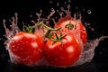 Fresh tomatoes splashing in water on black background Royalty Free Stock Photo