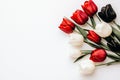 Vibrant Red, White, and Black Tulips on a White Background Royalty Free Stock Photo