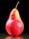 Vibrant red and yellow pear fruit with a glossy surface standing on a reflective black background showcasing natural texture and Royalty Free Stock Photo
