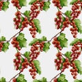 Vibrant redcurrant watercolor pattern for textile and wrapping applications Royalty Free Stock Photo