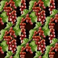 Vibrant redcurrant watercolor pattern for textiles and packaging designs Royalty Free Stock Photo
