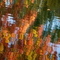 Vibrant reflections of autumn foliage create Royalty Free Stock Photo