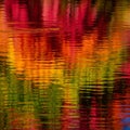 Vibrant reflections create an abstract pattern on water, featuring bright red, orange, yellow, and Royalty Free Stock Photo