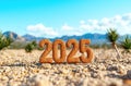 A vibrant representation of the year 2025 with desert scenery