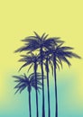 Vibrant Retro Hawaii Sunset Palm Trees