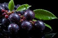 Vibrant ripe acai berries on captivating dark purple background, high quality stock photo