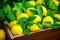 Vibrant Ripe Lemons in Wooden Crate.