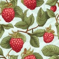 Vibrant ripe raspberry on white background high quality fruit image for culinary inspiration