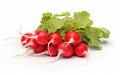 Vibrant Root Beauty on White Background