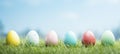 Colorful Easter Eggs Lined Up on Grass