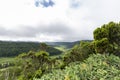 Vibrant Sao Miguel