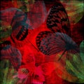 Vibrant Scarlet Butterfly Grunge