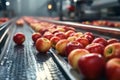 Sorting Gala Apples in Warehouse Royalty Free Stock Photo