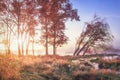 Vibrant scenery autumn landscape on river shore with vivid sunbeams through trees. Fall. Amazing colorful autumn nature