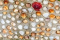 Vibrant Seashell Wall Art for Coastal Home Decor. Stock Photo of Colorful Shells Displayed on a Wall Royalty Free Stock Photo