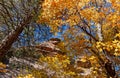 Vibrant Sedona Fall Scenery Along West Fork Trail Royalty Free Stock Photo