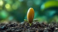 A vibrant seed sprouting from dark soil, symbolizing the birth of fresh, creative ideas in a lush setting Royalty Free Stock Photo