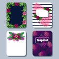 Vibrant set of tropical backgrounds