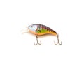 Vibrant shad crank bait fishing lure with sharp hooks and natural movement isolated on white background Royalty Free Stock Photo