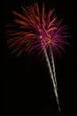 Vibrant single firework against the night sky. Royalty Free Stock Photo