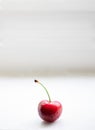 Vibrant single red cherry isolated on a white background Royalty Free Stock Photo